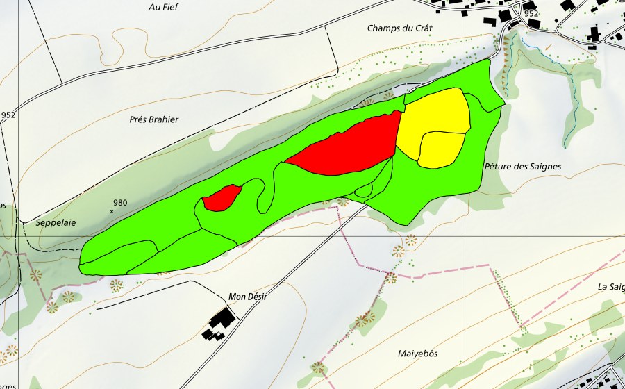 swisstopo national map showing the protected perimeter of La Tourbière des Enfers (Raised bog)