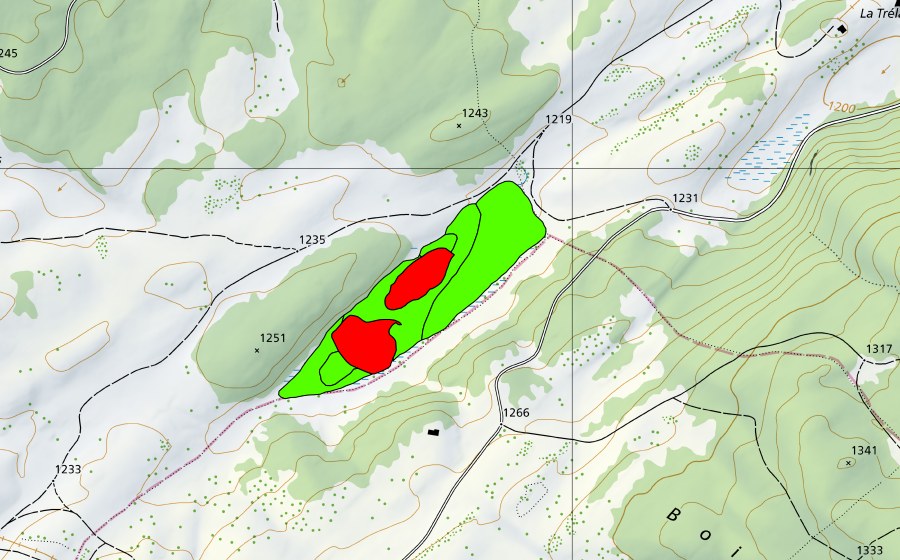 Landeskarte swisstopo mit dem Schutzperimeter von La Trélasse (Hochmoor)
