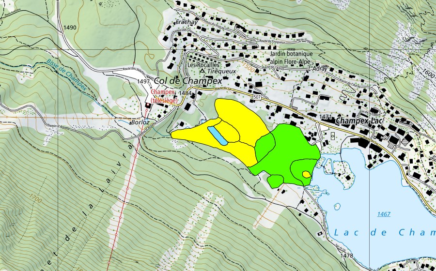 Carta nazionale swisstopo con il perimetro protetto di Lac de Champex (Torbiera alta)