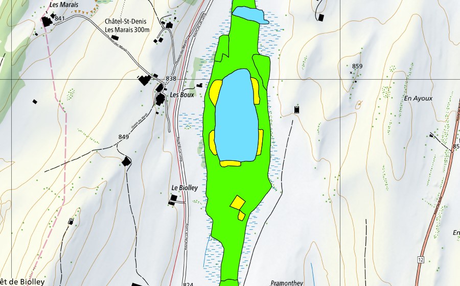 Landeskarte swisstopo mit dem Schutzperimeter von Lac de Lussy (Hochmoor)