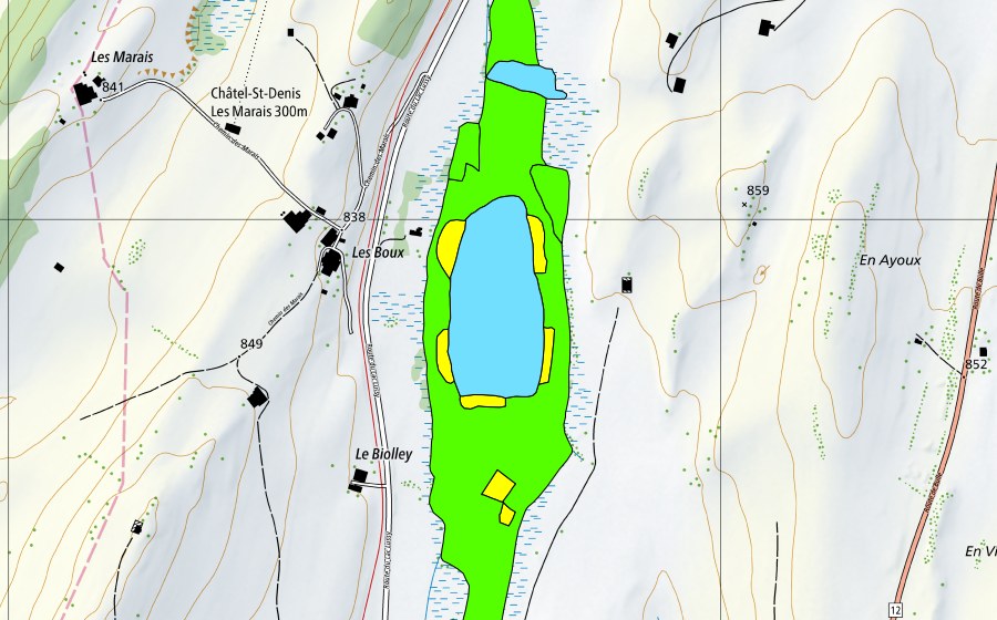 Carta nazionale swisstopo con il perimetro protetto di Lac de Lussy (Torbiera alta)