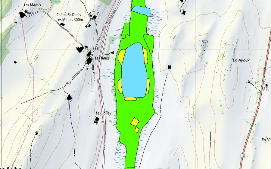 Carta nazionale swisstopo con il perimetro protetto di Lac de Lussy (Torbiera alta)