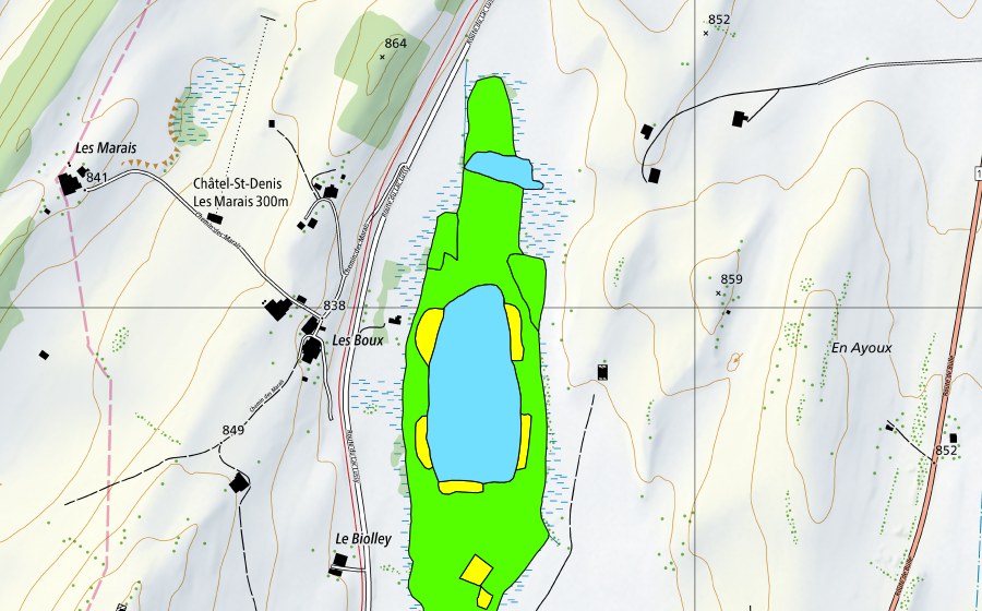 swisstopo national map showing the protected perimeter of Lac de Lussy (Raised bog)
