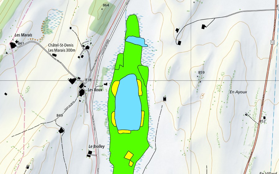 Landeskarte swisstopo mit dem Schutzperimeter von Lac de Lussy (Hochmoor)