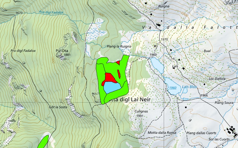 Landeskarte swisstopo mit dem Schutzperimeter von Lai Neir (Hochmoor)