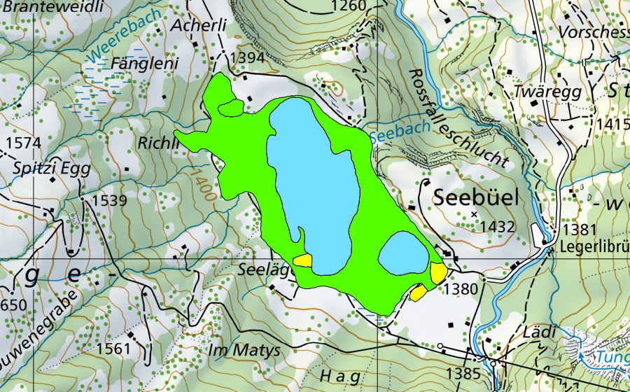 Landeskarte swisstopo mit dem Schutzperimeter von Lauenensee (Hochmoor)