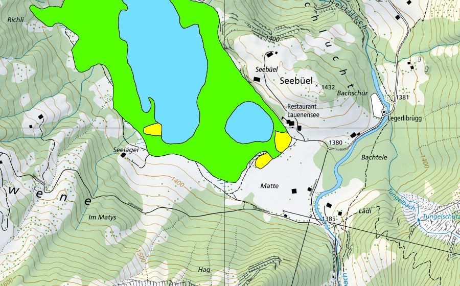 Carte nationale swisstopo avec le périmètre protégé de Lauenensee (Haut-marais)