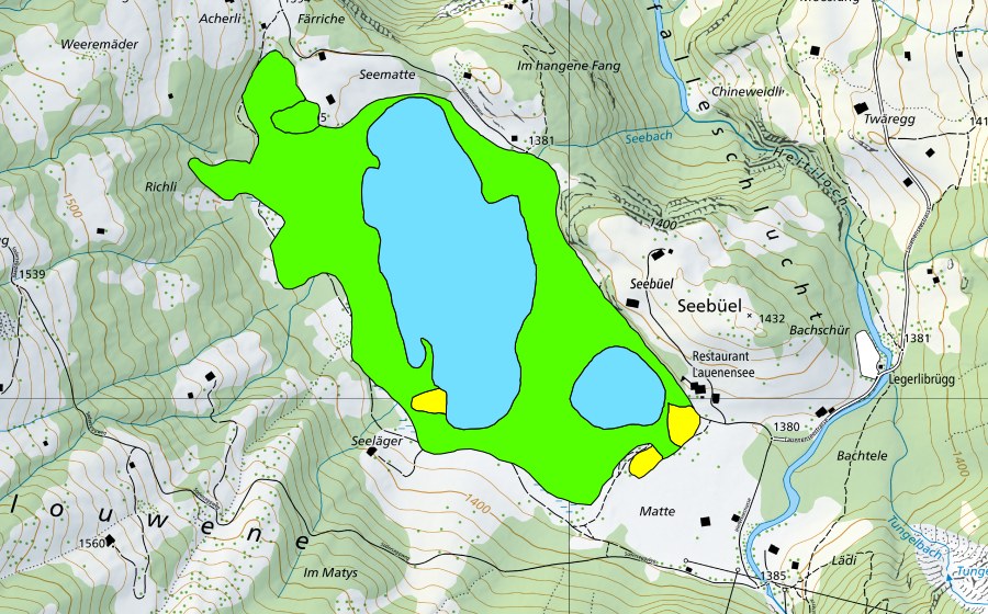 Landeskarte swisstopo mit dem Schutzperimeter von Lauenensee (Hochmoor)
