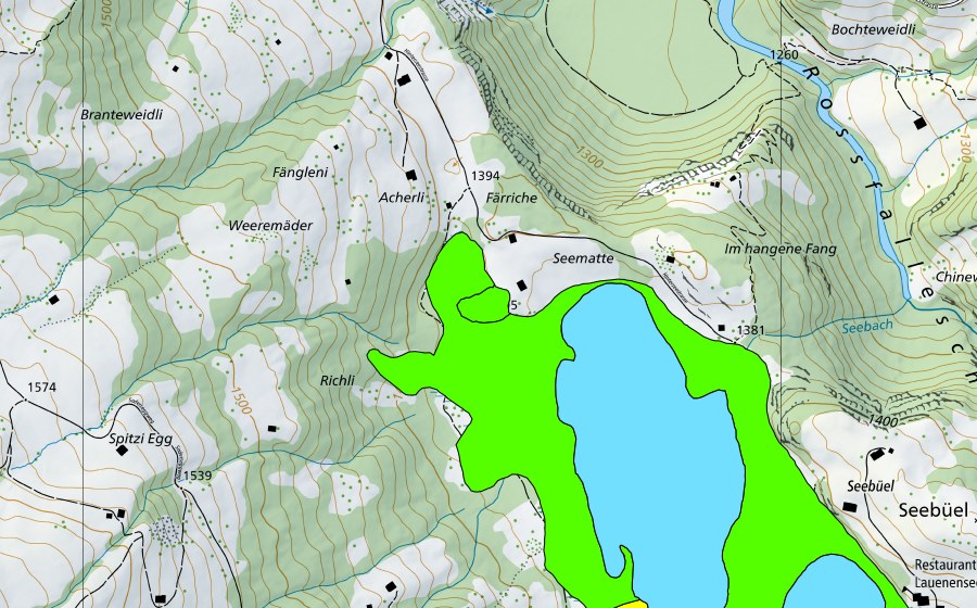 Landeskarte swisstopo mit dem Schutzperimeter von Lauenensee (Hochmoor)