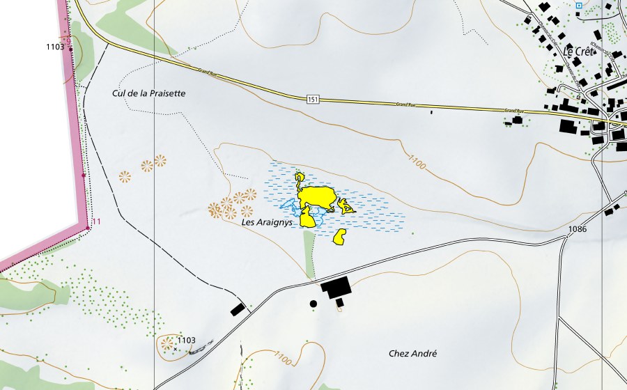Carte nationale swisstopo avec le périmètre protégé de Les Araignys (Haut-marais)
