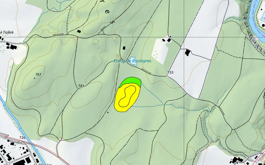 Landeskarte swisstopo mit dem Schutzperimeter von Les Bouleyres (Hochmoor)