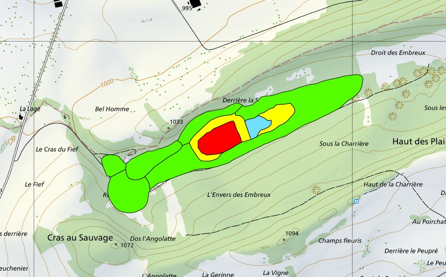 Landeskarte swisstopo mit dem Schutzperimeter von Les Embreux (Hochmoor)