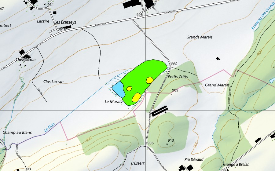 swisstopo national map showing the protected perimeter of Les Grands Marais (Raised bog)