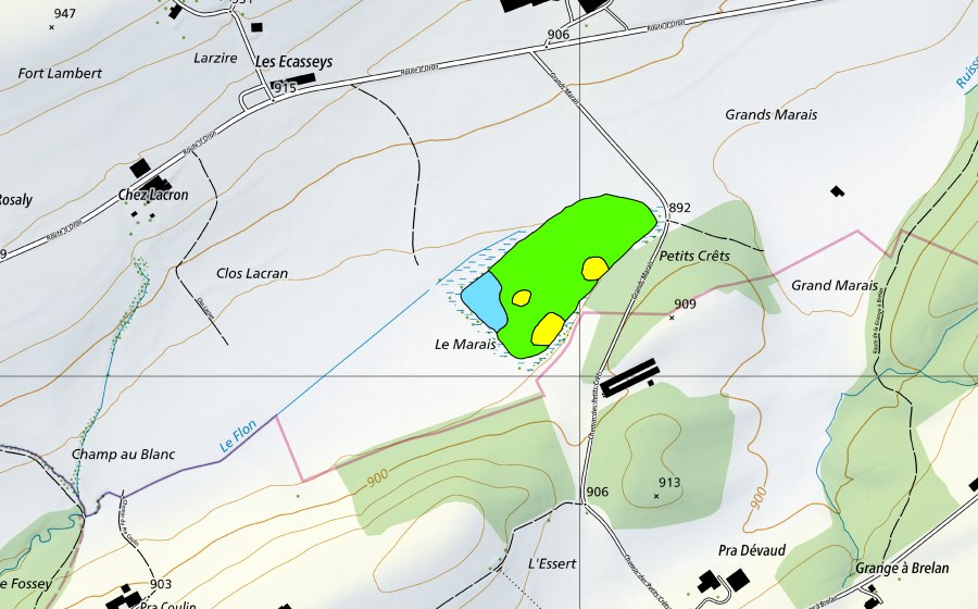 swisstopo national map showing the protected perimeter of Les Grands Marais (Raised bog)