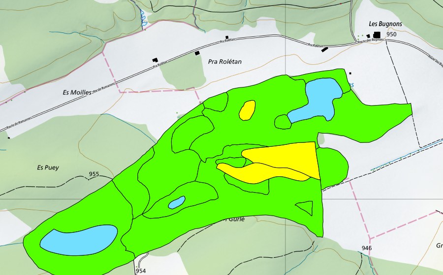 Carte nationale swisstopo avec le périmètre protégé de Les Gurles/Les Communs de Maules (Haut-marais)