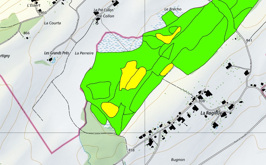 Carta nazionale swisstopo con il perimetro protetto di Les Mosses de la Rogivue (Torbiera alta)