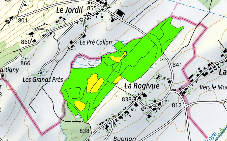 swisstopo national map showing the protected perimeter of Les Mosses de la Rogivue (Raised bog)