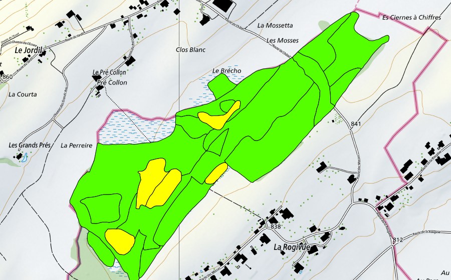 Carta nazionale swisstopo con il perimetro protetto di Les Mosses de la Rogivue (Torbiera alta)