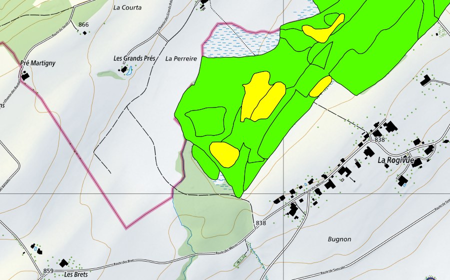 Landeskarte swisstopo mit dem Schutzperimeter von Les Mosses de la Rogivue (Hochmoor)