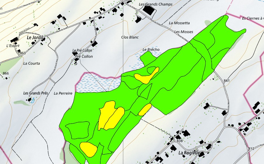 Carte nationale swisstopo avec le périmètre protégé de Les Mosses de la Rogivue (Haut-marais)