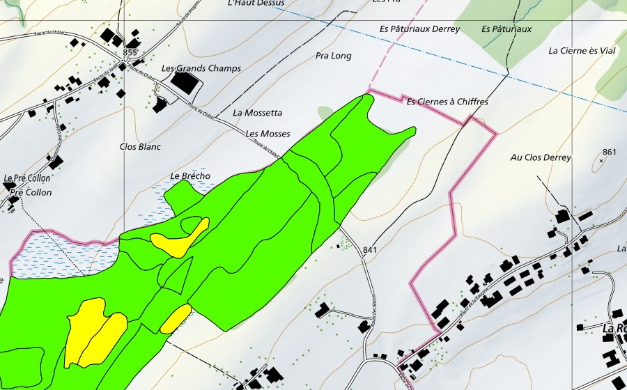 Carte nationale swisstopo avec le périmètre protégé de Les Mosses de la Rogivue (Haut-marais)