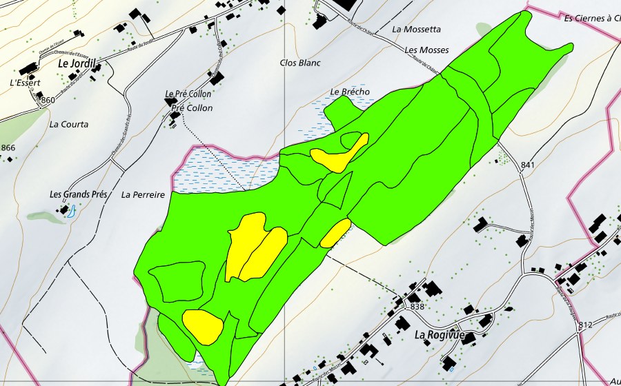 Carte nationale swisstopo avec le périmètre protégé de Les Mosses de la Rogivue (Haut-marais)