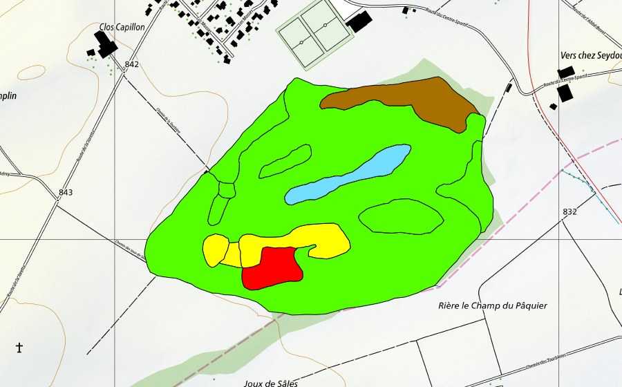Landeskarte swisstopo mit dem Schutzperimeter von Les Mosses-Rosez (Hochmoor)