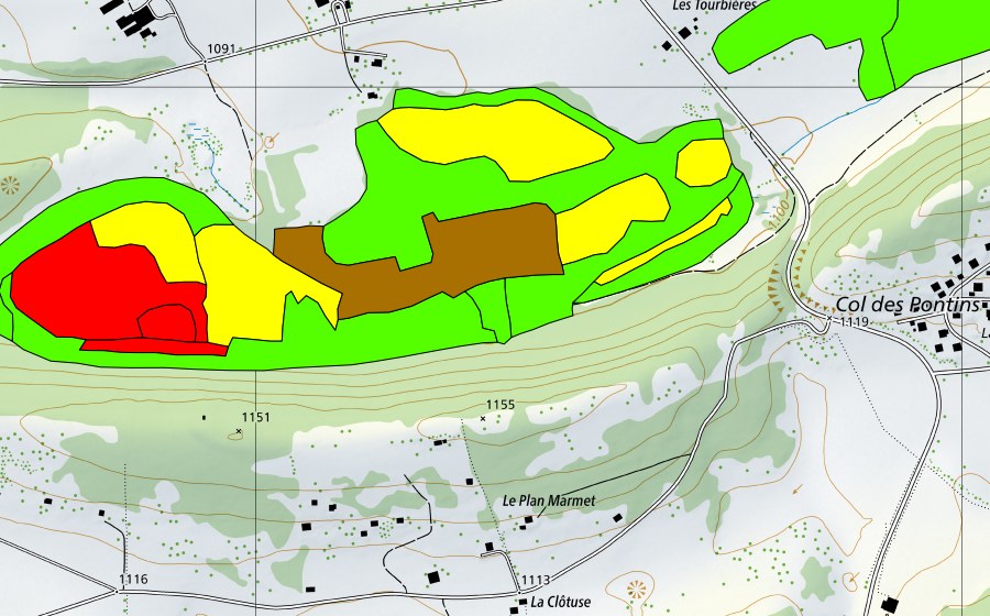 Landeskarte swisstopo mit dem Schutzperimeter von Les Pontins (Hochmoor)