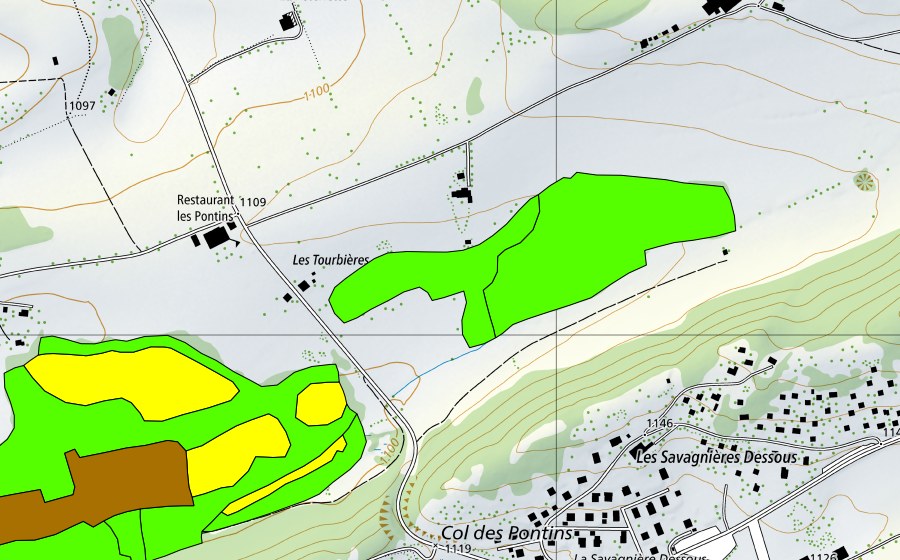 Carte nationale swisstopo avec le périmètre protégé de Les Pontins (Haut-marais)