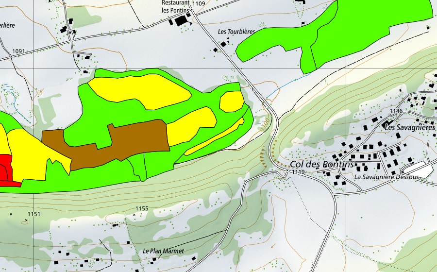 Carte nationale swisstopo avec le périmètre protégé de Les Pontins (Haut-marais)