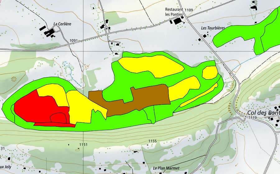 Landeskarte swisstopo mit dem Schutzperimeter von Les Pontins (Hochmoor)