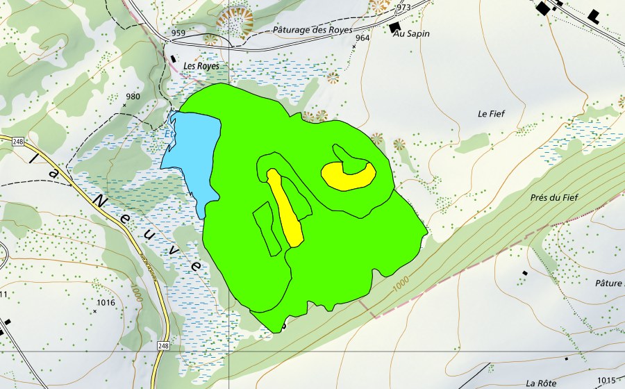 Carte nationale swisstopo avec le périmètre protégé de Les Royes (Haut-marais)