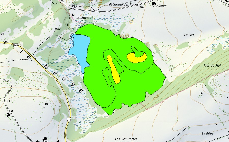 Carte nationale swisstopo avec le périmètre protégé de Les Royes (Haut-marais)
