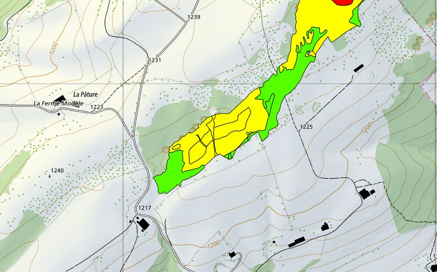 Landeskarte swisstopo mit dem Schutzperimeter von Les Saignolis (Hochmoor)