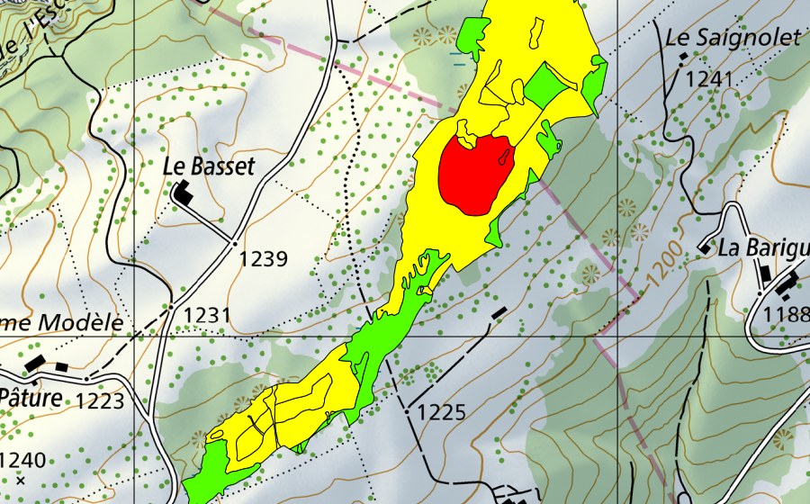 Landeskarte swisstopo mit dem Schutzperimeter von Les Saignolis (Hochmoor)