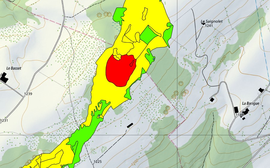 Landeskarte swisstopo mit dem Schutzperimeter von Les Saignolis (Hochmoor)