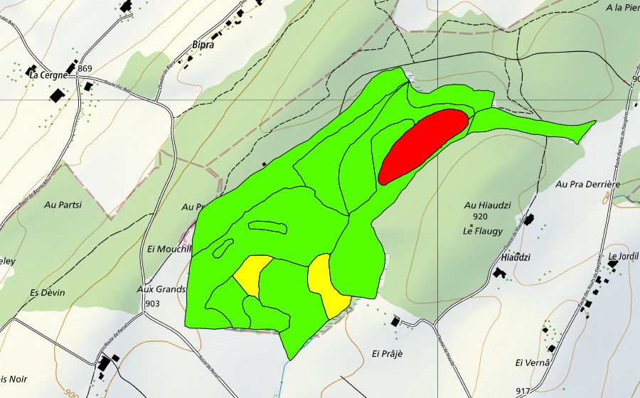 Landeskarte swisstopo mit dem Schutzperimeter von Les Tourbières (Hochmoor)