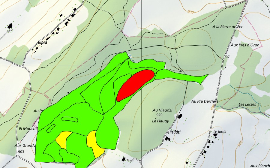 Carte nationale swisstopo avec le périmètre protégé de Les Tourbières (Haut-marais)