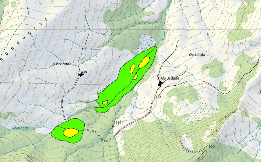 swisstopo national map showing the protected perimeter of Lischboden (Raised bog)