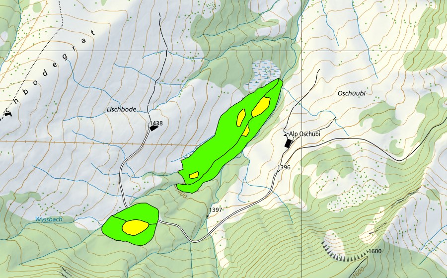Carte nationale swisstopo avec le périmètre protégé de Lischboden (Haut-marais)