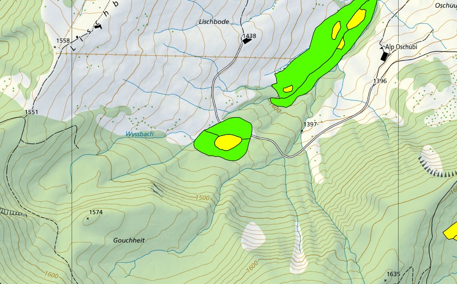 Landeskarte swisstopo mit dem Schutzperimeter von Lischboden (Hochmoor)