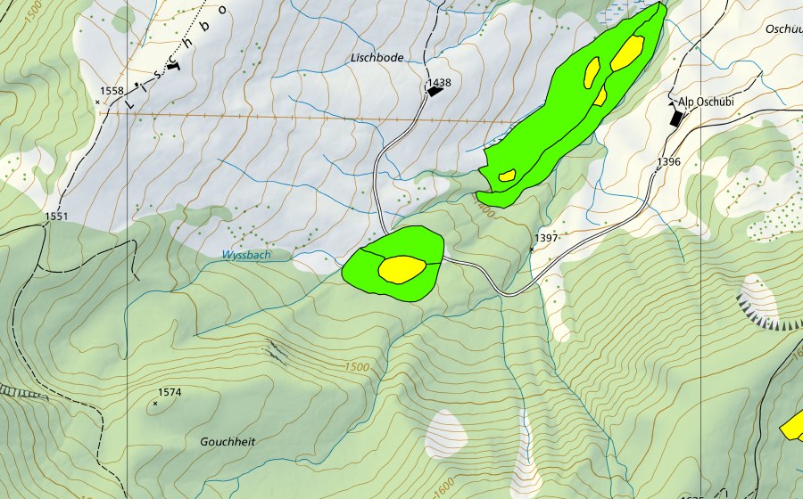 swisstopo national map showing the protected perimeter of Lischboden (Raised bog)