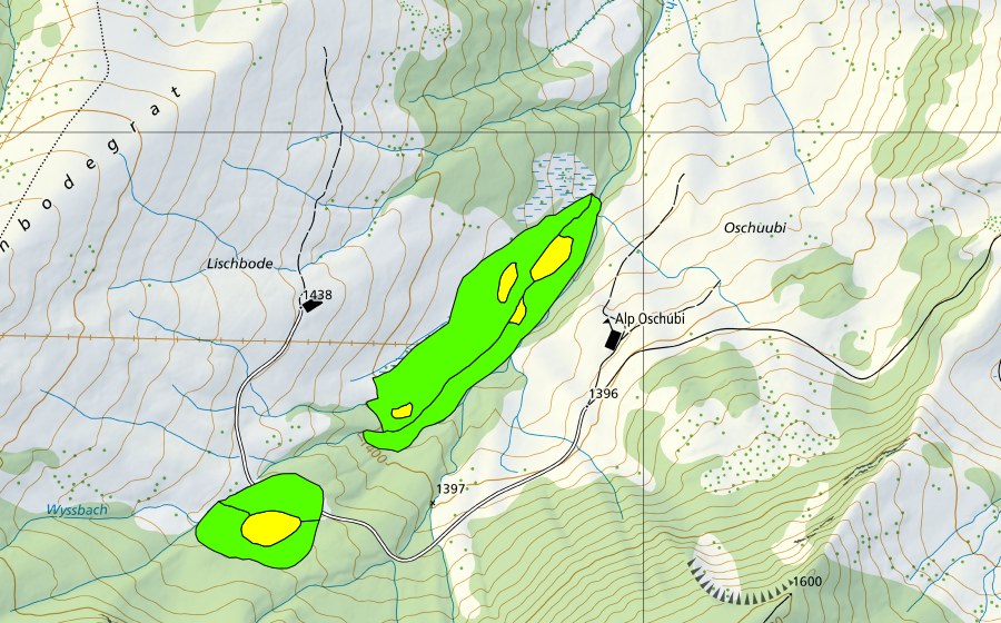 Carte nationale swisstopo avec le périmètre protégé de Lischboden (Haut-marais)