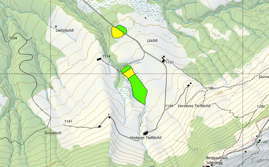 Landeskarte swisstopo mit dem Schutzperimeter von Löchli (Hochmoor)