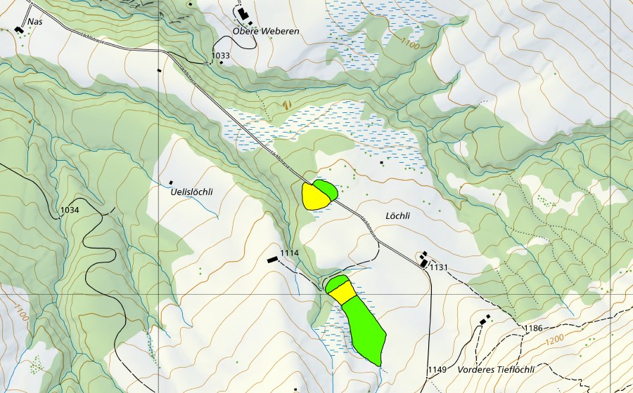 Carta nazionale swisstopo con il perimetro protetto di Löchli (Torbiera alta)