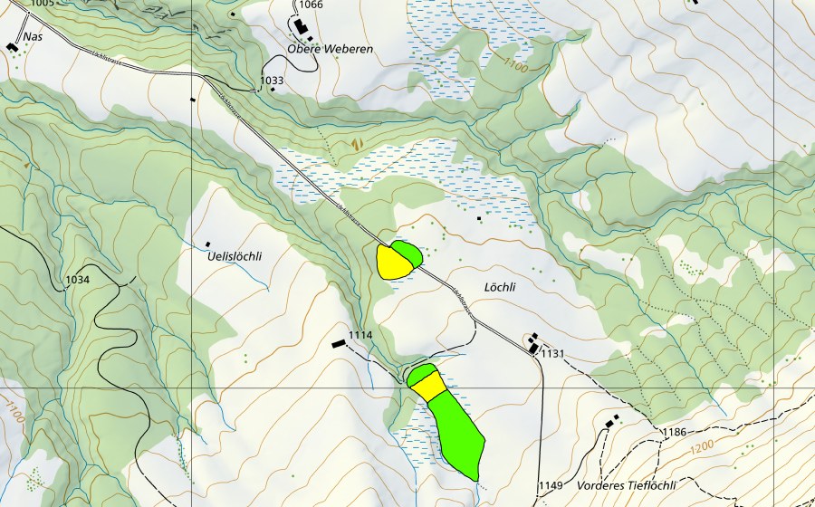 Landeskarte swisstopo mit dem Schutzperimeter von Löchli (Hochmoor)