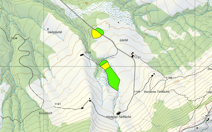 swisstopo national map showing the protected perimeter of Löchli (Raised bog)