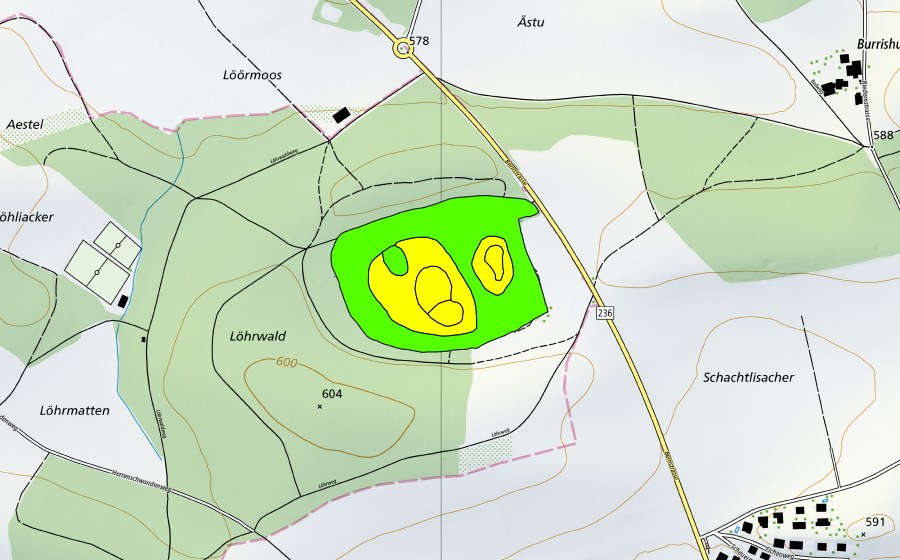 Carte nationale swisstopo avec le périmètre protégé de Lörmoos (Haut-marais)