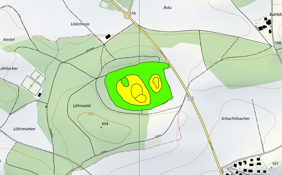 swisstopo national map showing the protected perimeter of Lörmoos (Raised bog)