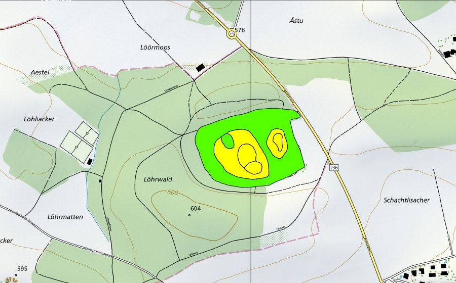 swisstopo national map showing the protected perimeter of Lörmoos (Raised bog)